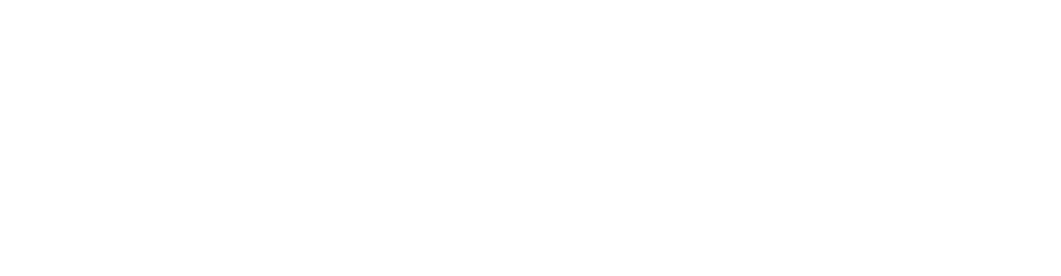 new bern logo white